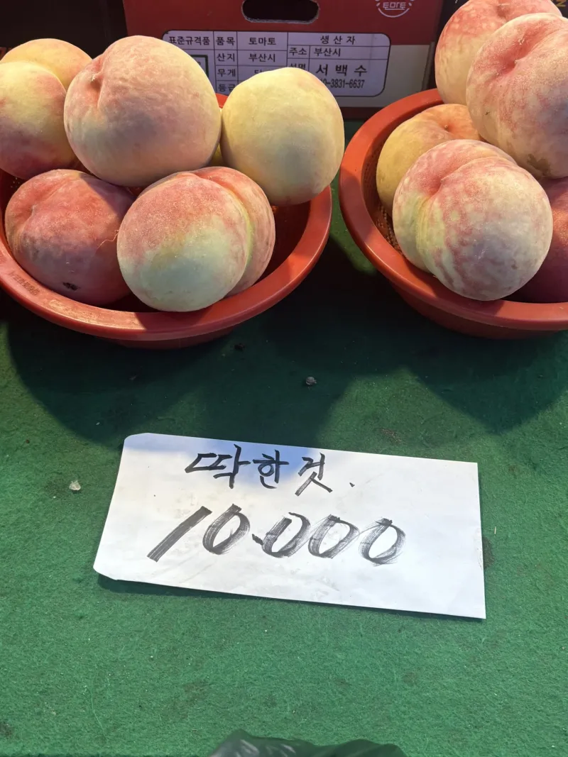 딱한 복숭아_1.webp