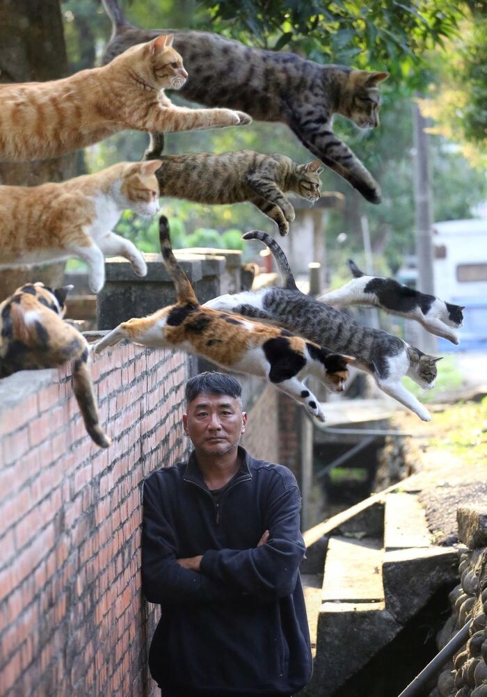 고양이 술사들_2.jpg