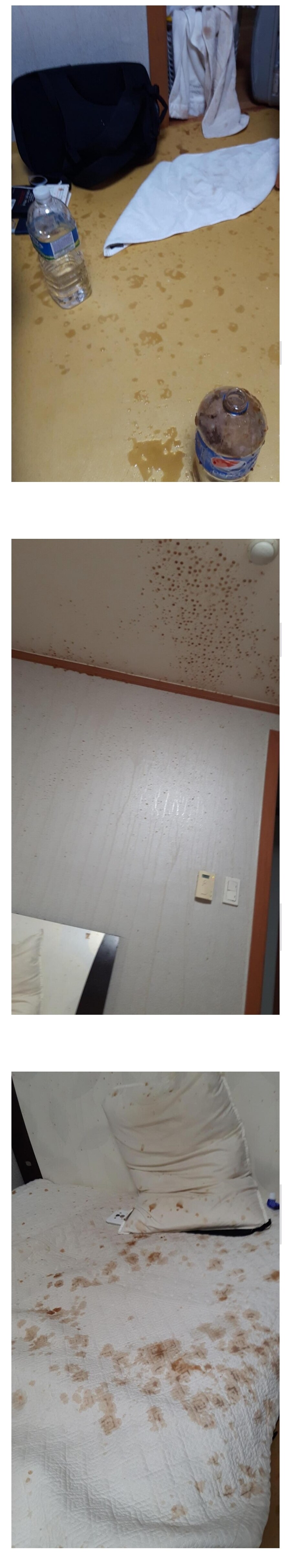 설탕콜라가 제로콜라보다 건강에 안좋은 이유_1.jpg