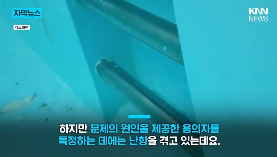 공포의 수영장 빌런_8.jpg