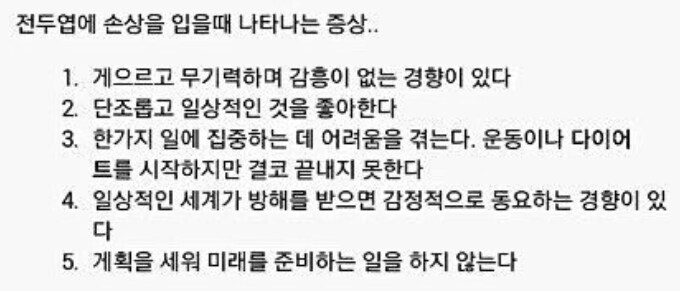 전두엽 손상 시 나타나는 증상_1.png
