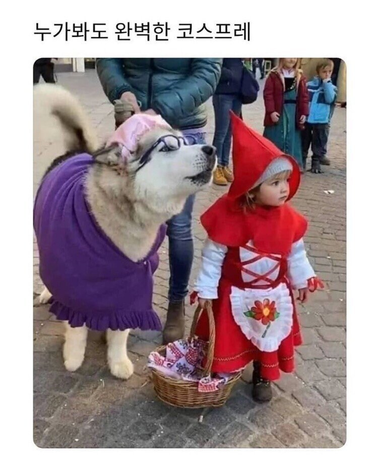 완벽한 코스프레.jpg_1.jpg