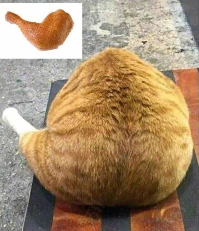 통통한 거대 닭다리.jpg_1.jpg