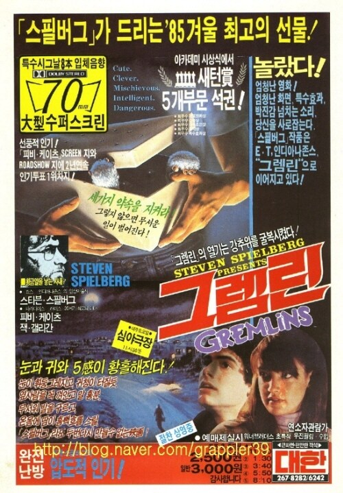 의외로 애완 동물 키울때 조심해야 하는 것_1.jpg