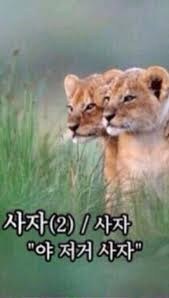 또 어디서 이상한거 만들어온 LG_6.jpg