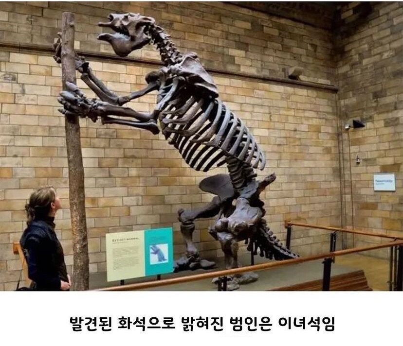 13,000년 전에 만들어진 미스테리한 동굴_5.jpg