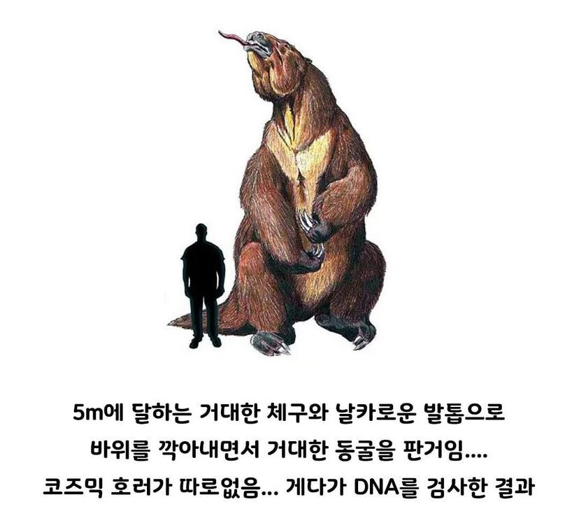 13,000년 전에 만들어진 미스테리한 동굴_6.jpg