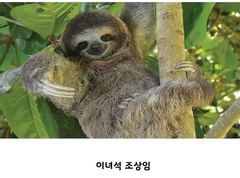 13,000년 전에 만들어진 미스테리한 동굴_7.jpg
