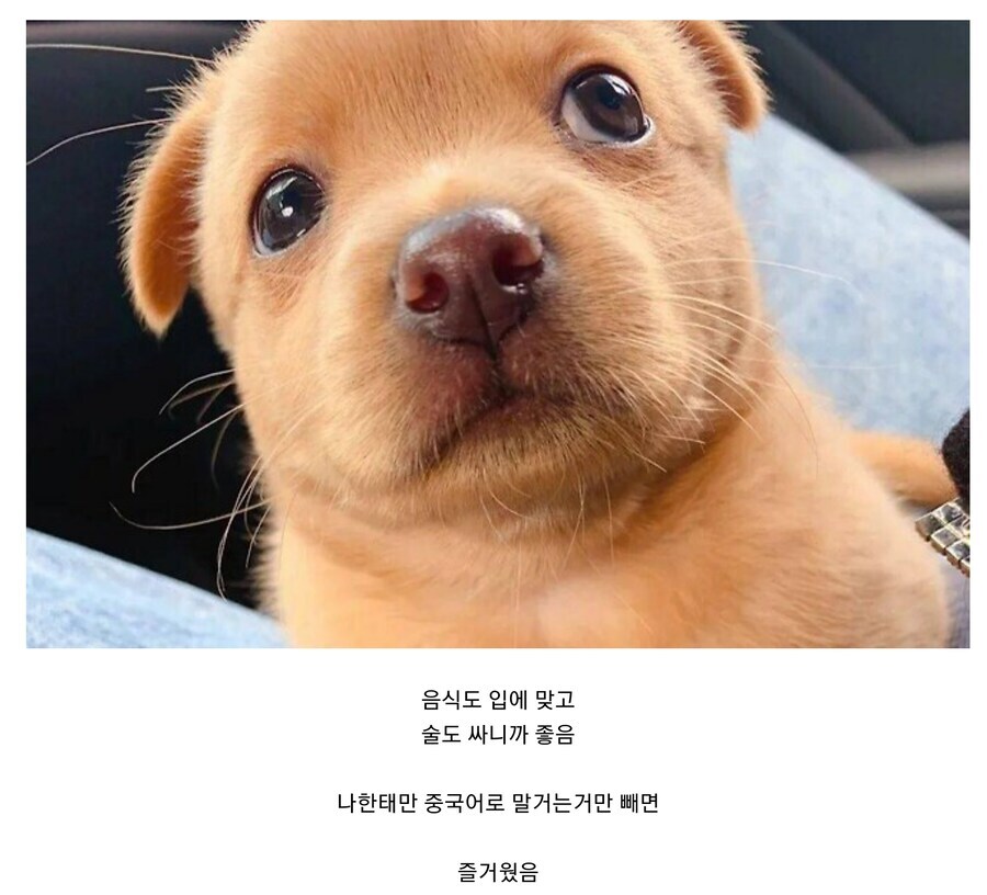 일본 여행이 즐거웠다는 사람_1.jpg