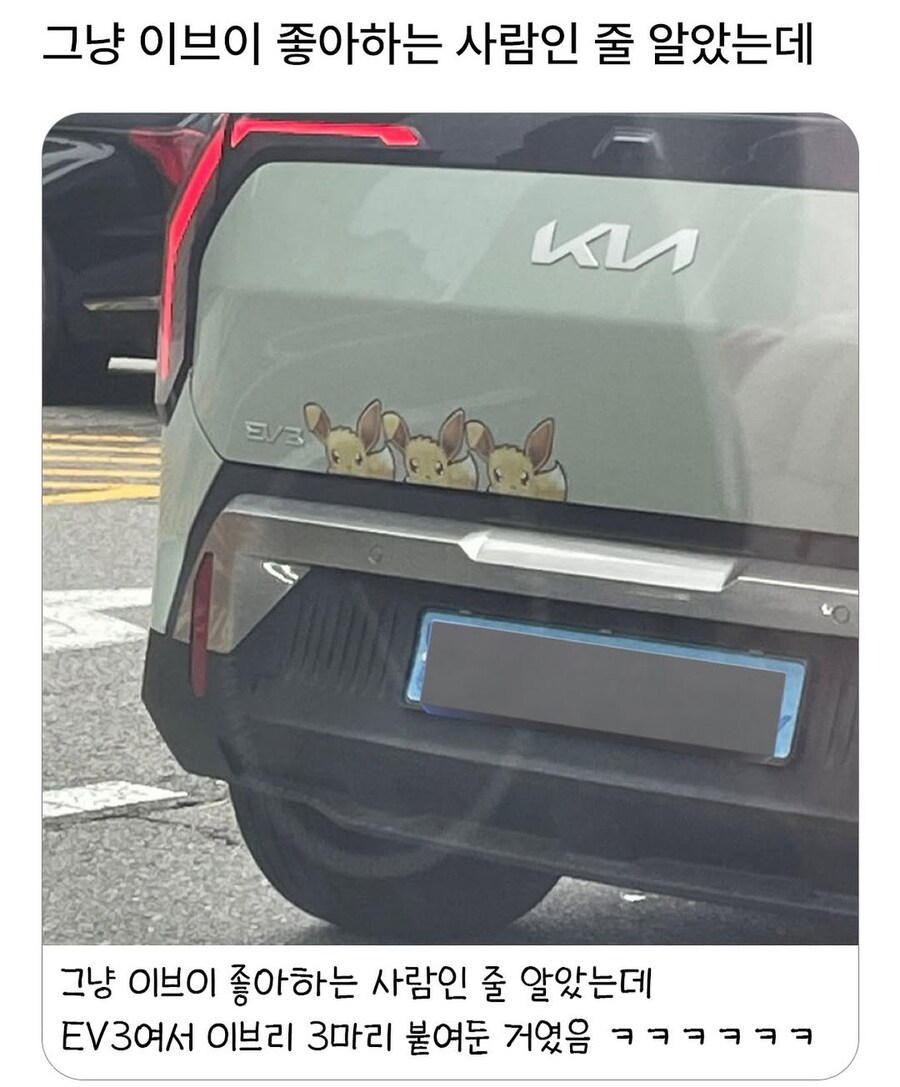 이브이 3마리가 모이면?_1.jpg