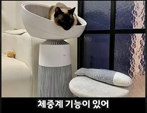 고양이 키우는 집사가 만든거같은 공기청정기_3.png