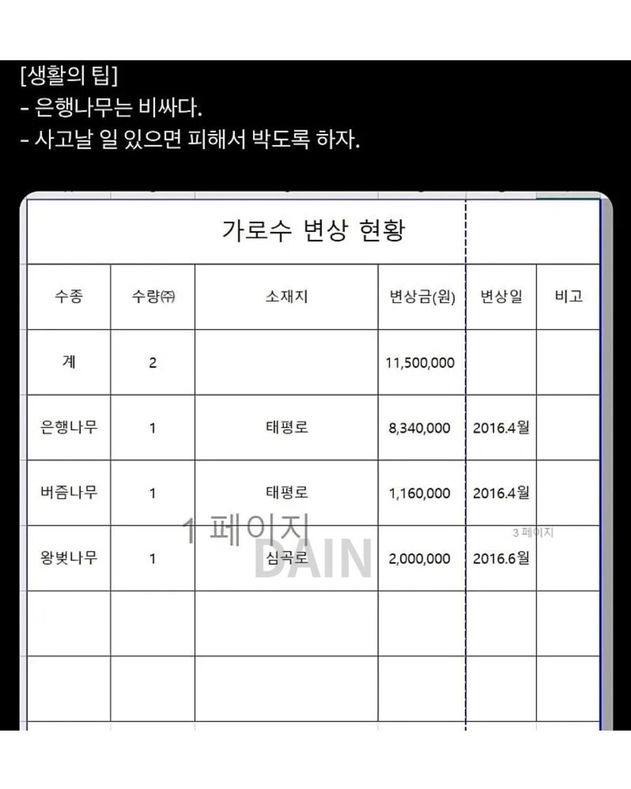 차로 은행나무를 박으면..._1.jpg