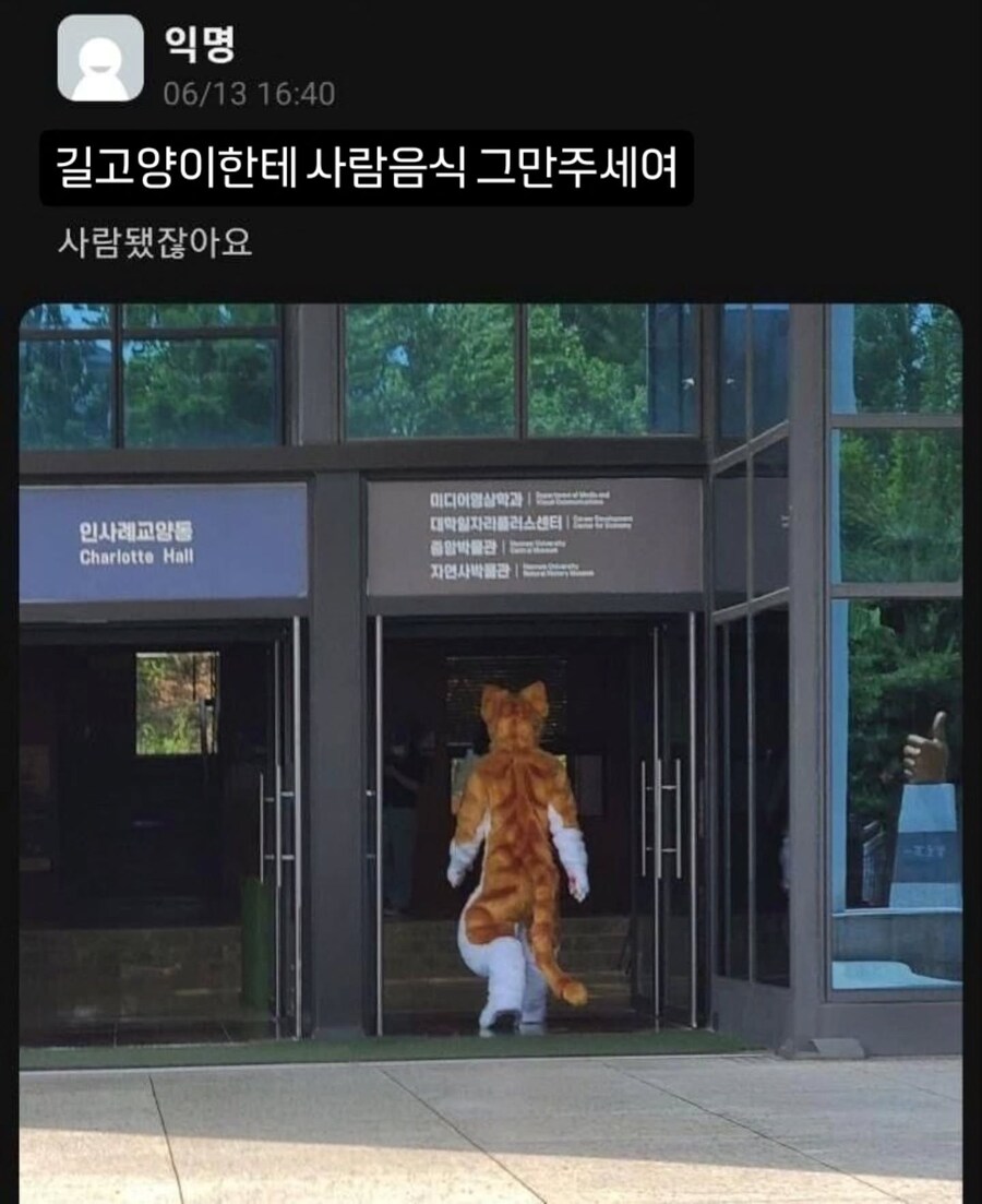 길고양이한테 사람음식 막 주면 안되는 이유_1.jpg
