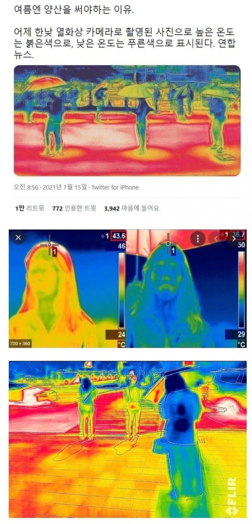 여름에 양산을 써야하는 이유.jpg_1.png