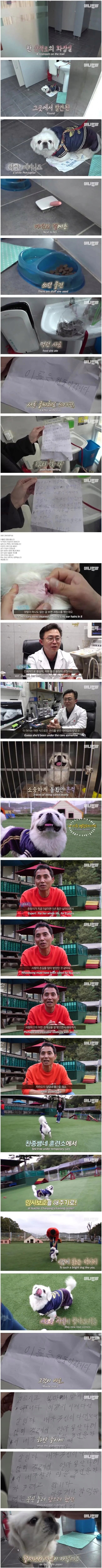 산책로 화장실에서 발견된 한 강아지_1.png