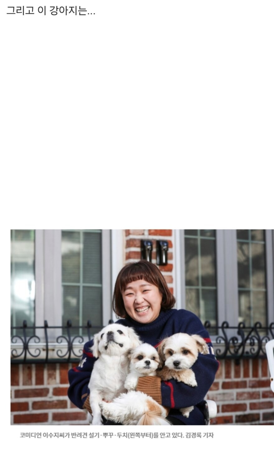 산책로 화장실에서 발견된 한 강아지_2.png