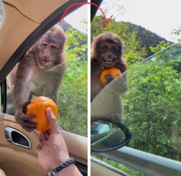 고작 공주를 호위해주는 선금으로 이런 보물을 준다고?!_1.jpg