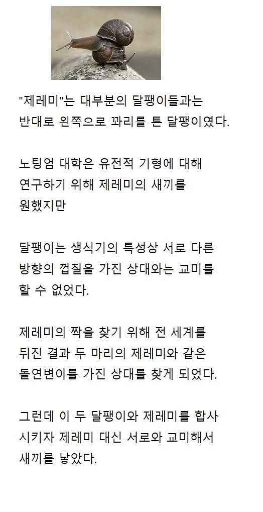 교미 한 번 하려고 전세계를 뒤진 결과_1.jpg