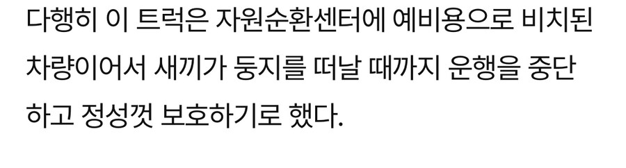 트럭에 둥지튼 새_2.jpg