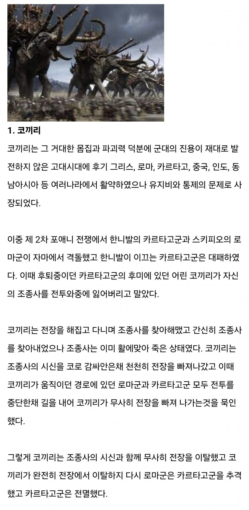 낭만적이지만 전쟁용으로 왜 코끼리 못 쓰는지 알려줌_1.jpg