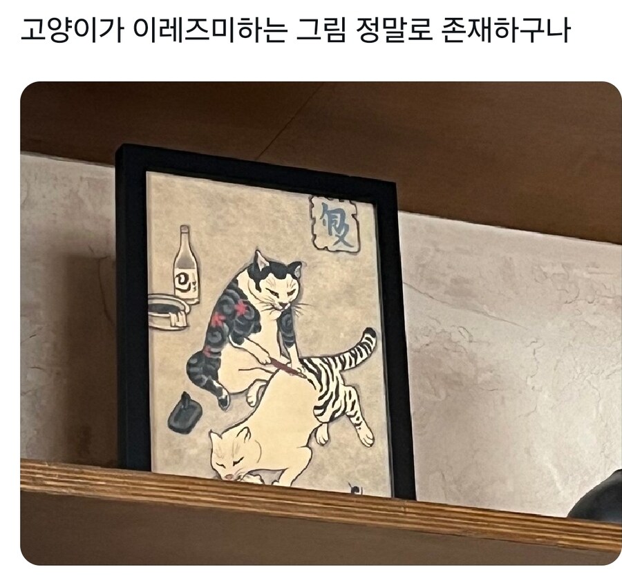 고양이가 냥아치인 이유_2.jpg
