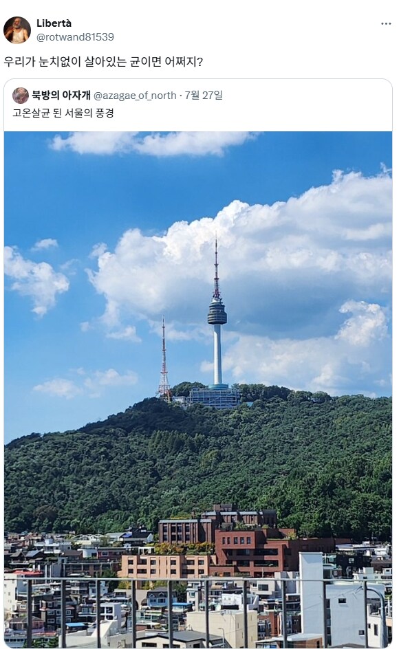 고온살균 된 서울의 풍경.jpg_1.png