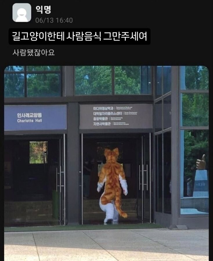 길고양이 밥 주지 말라고 그렇게 말했는데_1.jpg