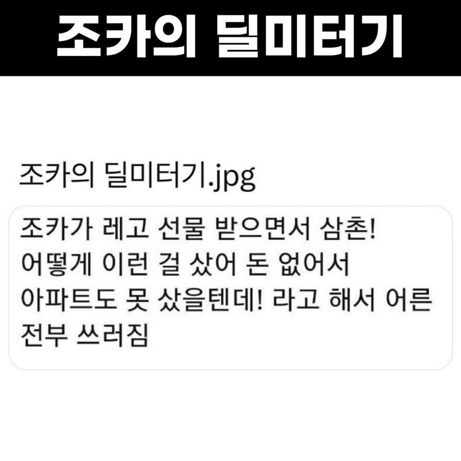 삼촌한테 레고 선물 받은 조카_1.jpg