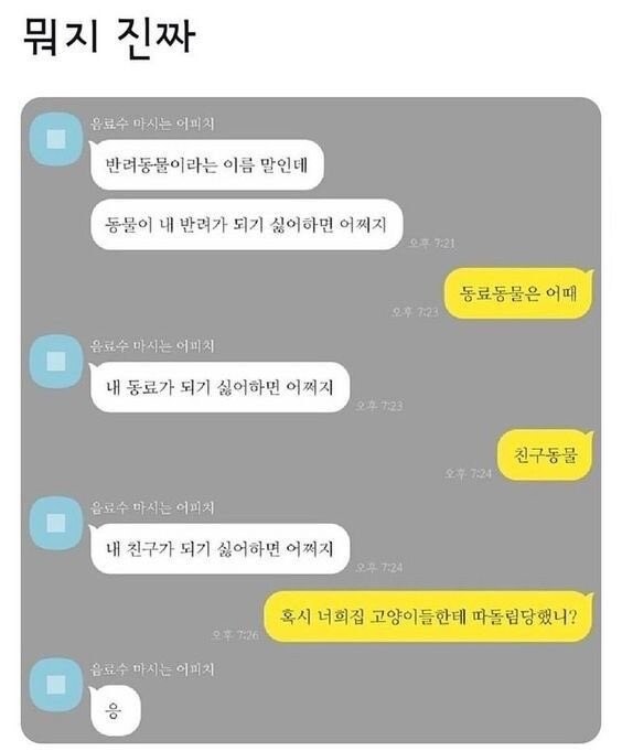 반려동물이라는 이름 말인데_1.jpg