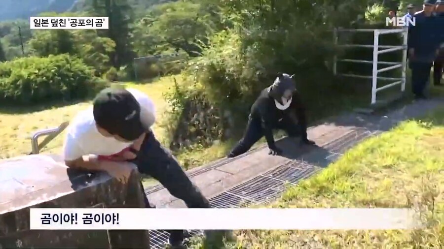 일본 곰 보험 상품 등장_7.jpg