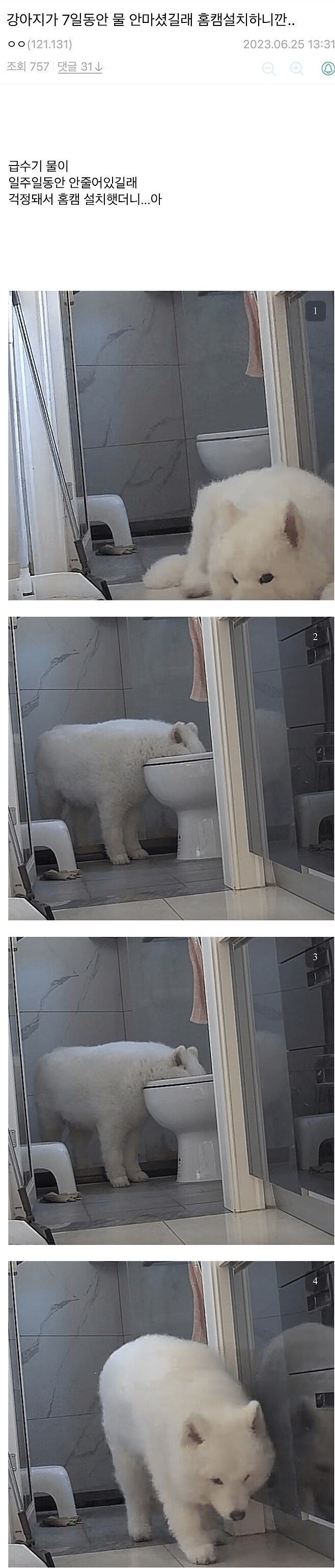 일주일째 물 안마시는 강아지_1.png