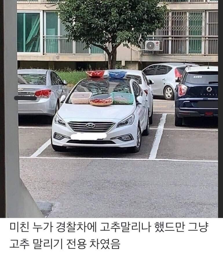 ㅇ와;;; 겁도 없이 경찰차에 고추를 말리네_1.jpg