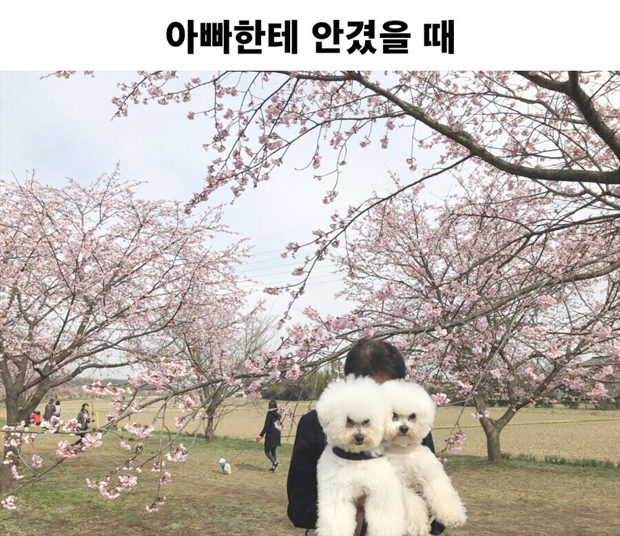 아 엄마가 좋은데, 대놓고 티를 내야하나..._2.jpg