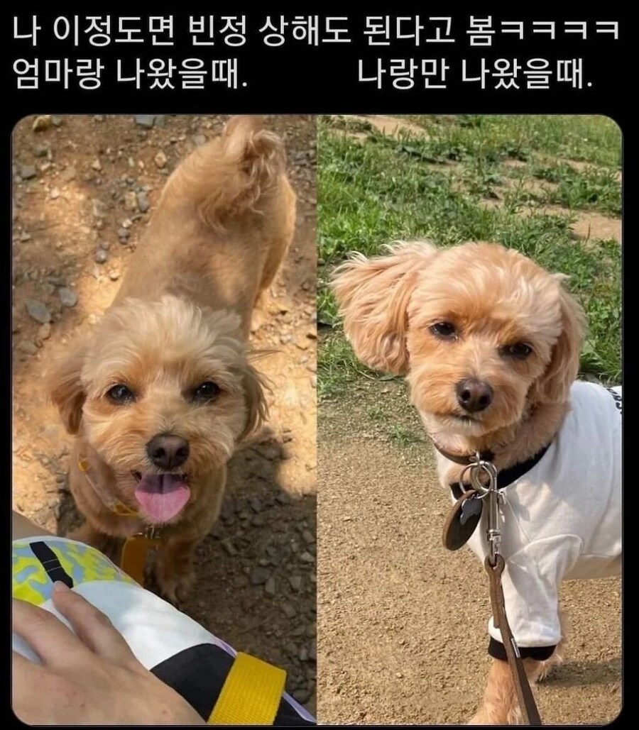 아 엄마가 좋은데, 대놓고 티를 내야하나..._3.jpg