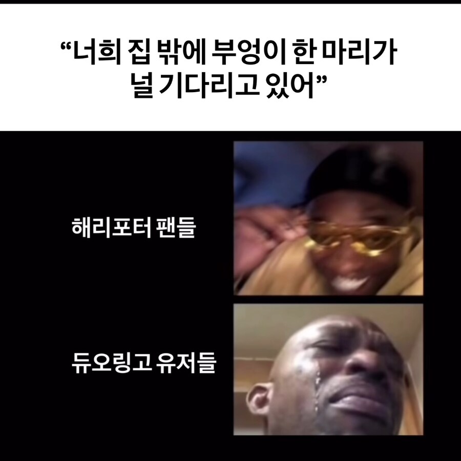 집밖에 부엉이가 당신을 기다리고 있습니다.jpg_1.jpg