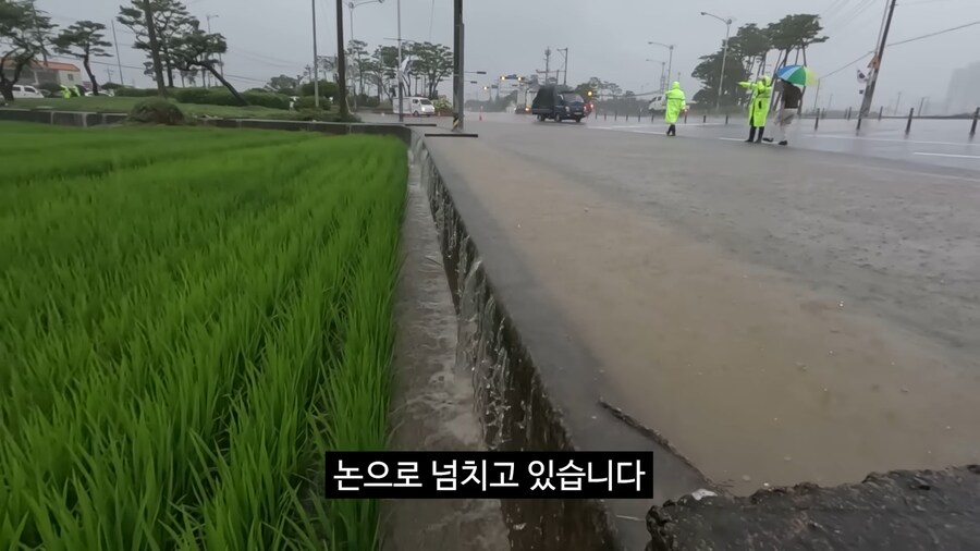 호우경보 충주맨_3.png