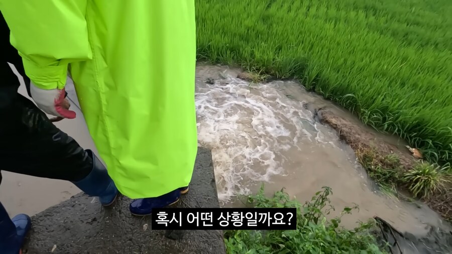 호우경보 충주맨_21.png