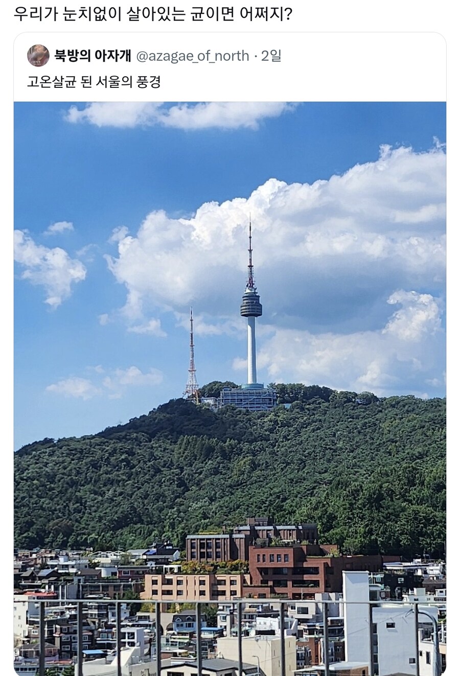 고온 살균되고 있는 한국_1.jpg