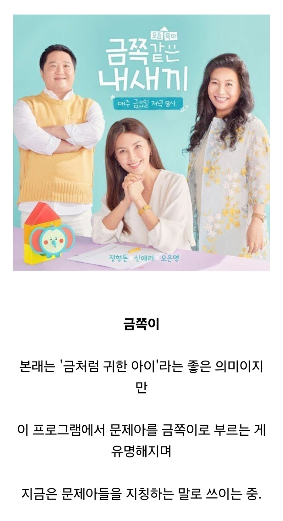 방송의 영향으로 의미가 달라지게 된 단어들.jpg_3.jpg