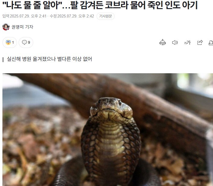 코브라가 아기를 노리는 위험한 인도_1.jpg