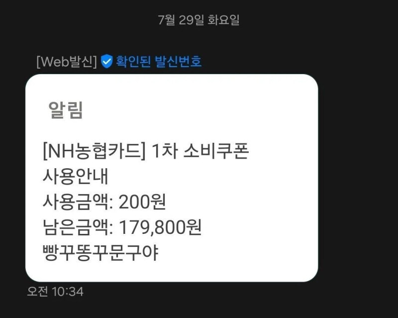 조카의 민생쿠폰 사용 이력_1.jpg