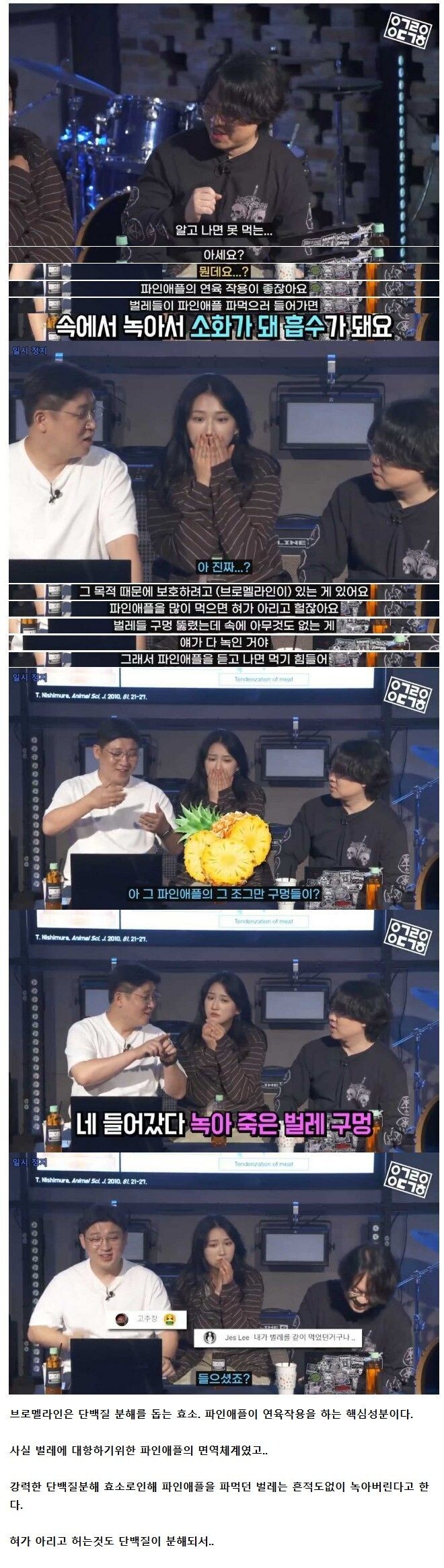 파인애플에 구멍이 많은 이유_1.jpg