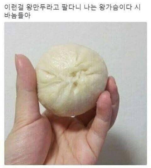 이런걸 왕만두라고 팔다니_1.jpg