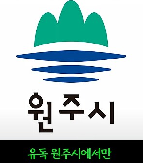 최고의 기회를 날려버린 어느 지방도시의 최후_28.png