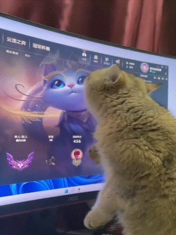 comment img