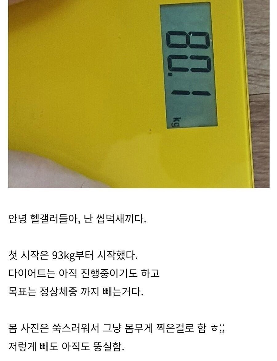헬스갤러리에 10kg 감량 글 올리자 달린 악플.jpg_1.png