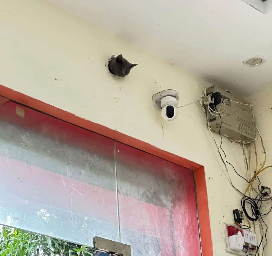 생체 cctv_1.jpg