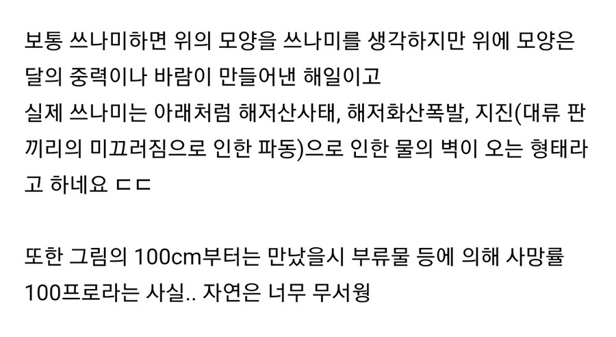 사람들이 생각하는 쓰나미와 실제.jpg_2.jpg