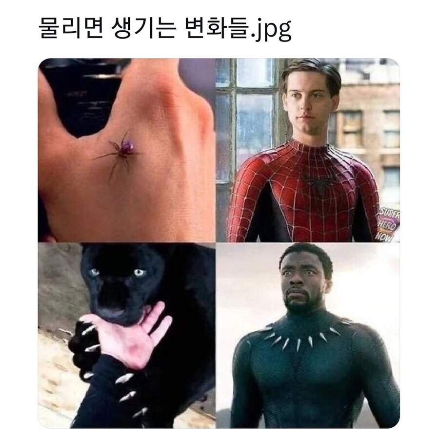 물리면 생기는 변화들_1.jpg