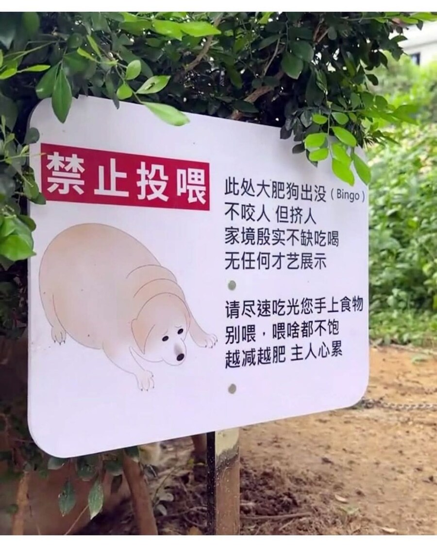 강아지 먹이 주지 마세요.jpg_1.jpg